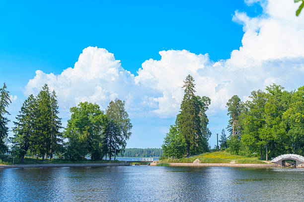 Peaceful green island with tall pine and deciduous trees surrounded by calm lake water under blue summer sky in a natural park setting