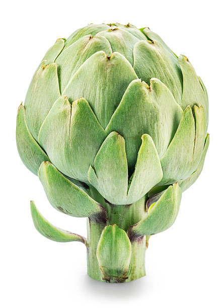 French artichoke isolated on white background. File contains clipping path.