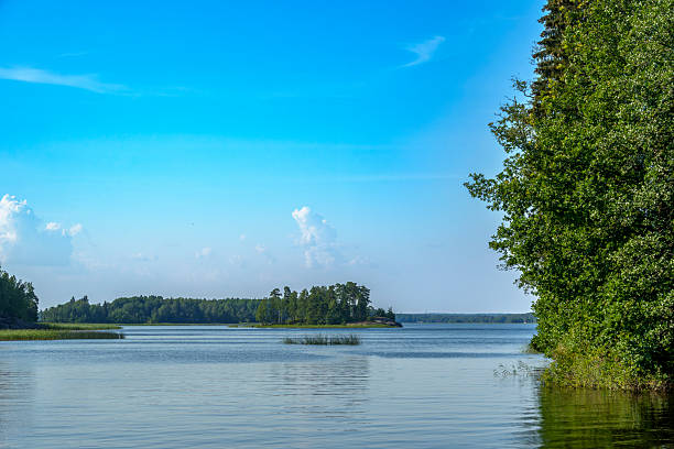 Calm lake with green trees on the shore and a small island in the distance, under a clear blue sky on a quiet summer day
