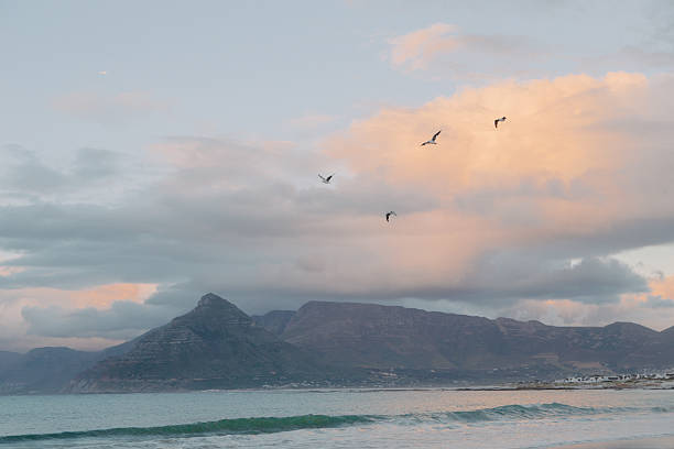 Mountain scene at Kommetjie Beach at sunset with birds flying.