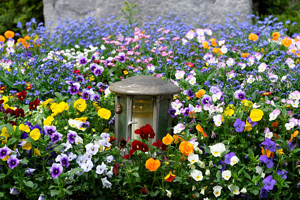 on a green graveyard with many flowers, in summer