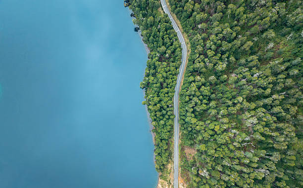 istock Aerial top-down view of a coastal road through a forest 2258391250