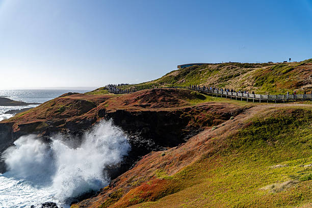 Visitors observe powerful ocean waves breaking against the rocky shore from a wooden boardwalk on a sunny coastal cliff.