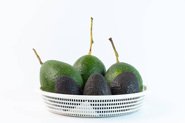 Fresh green and ripe avocados in a white plastic basket isolated on white background. Superfood for healthy diet and organic nutrition concept for food photography and commercial use.