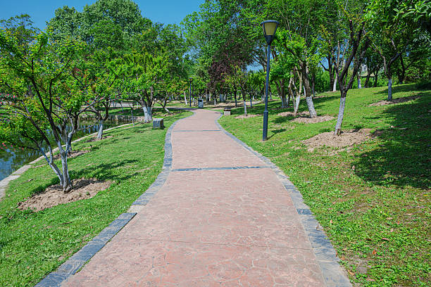 Curved footpath through the lush green garden