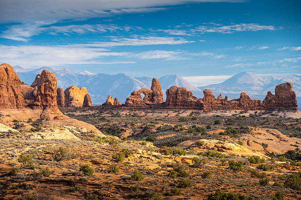 Panoramic view of unique sandstone formations and natural rock arches in Arches National Park, Utah. Captured under a bright blue sky with distant mountain ranges, this scenic desert landscape showcases the geological wonders and dramatic terrain of the American Southwest.