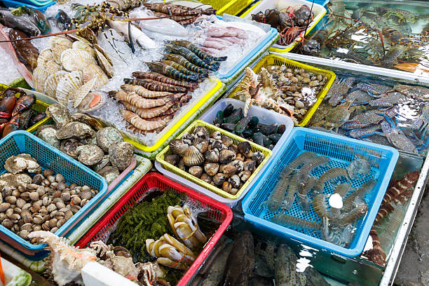 A table with many different types of seafood. There are many different types of shrimp, clams, and other seafood