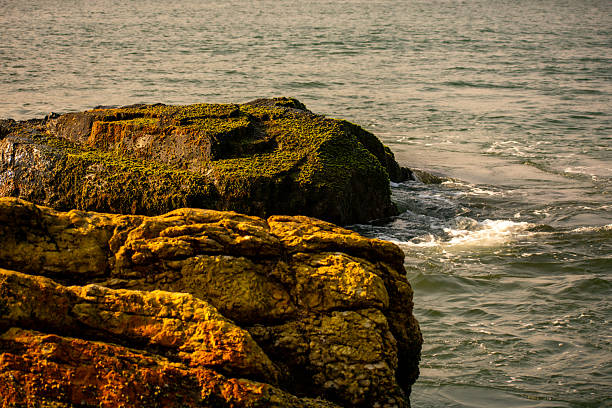 Lonely hill by the sea