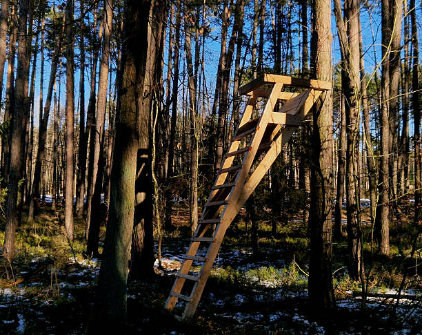 wooden perch is a hunting device used by hunters.  hunter with an elevated position for better view of  surroundings and game.construction and maintenance of such devices is typical activity of hunters.various types of perch, including simple portable variants such as this one. portable