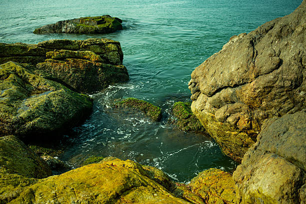 Close view of sea waves splashing over dark coastal rocks, creating dramatic water patterns and foam textures. Natural seascape showing the power and movement of ocean water along the rocky shoreline in Gokarna, Karnataka, India.