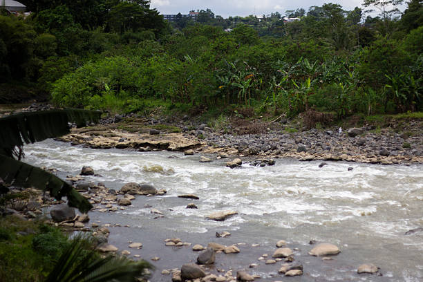 landscape background view of a river with murky water