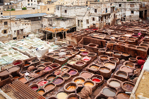 Tanneries of Fes picture and a cat