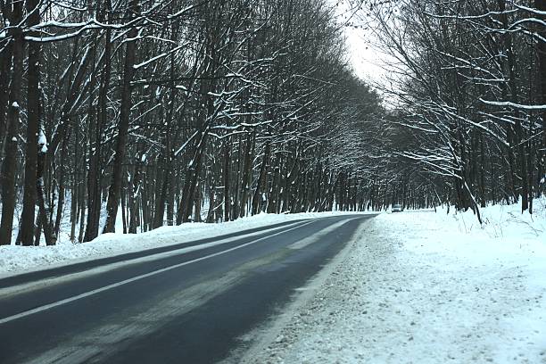 Snowy winter road winds through a dense forest of snow-covered trees under a clear sky