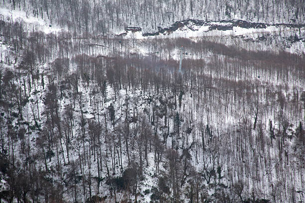 snow landscape in winter