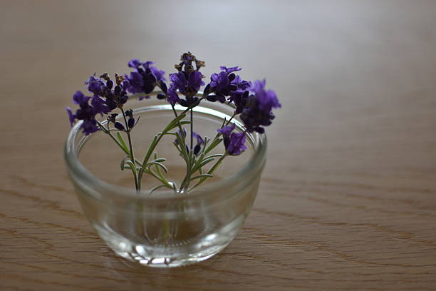Close-up of a small and pretty lavender in a vase