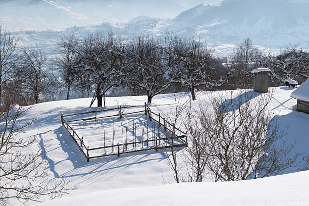 Traditional rural garden and orchard covered in fresh snow during winter. Wooden fences, bare trees and peaceful countryside atmosphere with mountains in the background. Authentic winter rural lifestyle scene, ideal for concepts of sustainability, tradition, seasonal living, agriculture and nature.