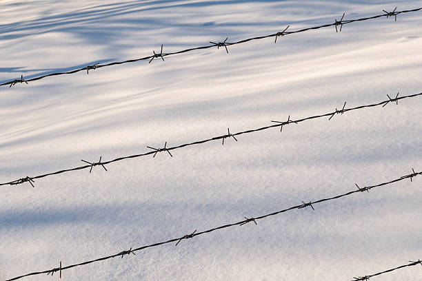 Minimalist winter background featuring barbed wire fence lines casting soft shadows on fresh snow. Abstract rural scene symbolizing boundaries, restriction, isolation, security, protection, and separation. Ideal for conceptual use, editorial illustration, backgrounds, and seasonal winter themes.