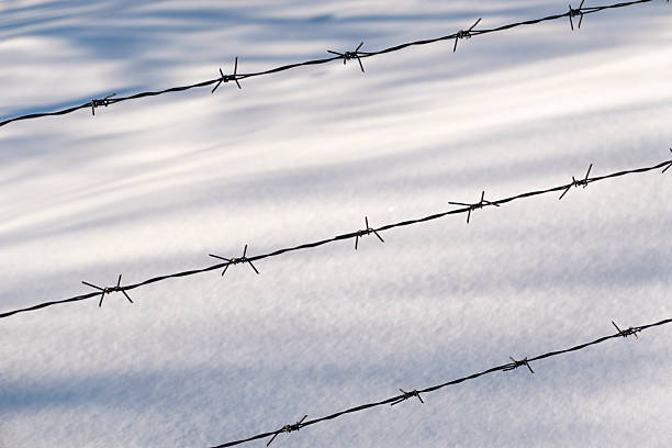 Minimalist winter background featuring barbed wire fence lines casting soft shadows on fresh snow. Abstract rural scene symbolizing boundaries, restriction, isolation, security, protection, and separation. Ideal for conceptual use, editorial illustration, backgrounds, and seasonal winter themes.