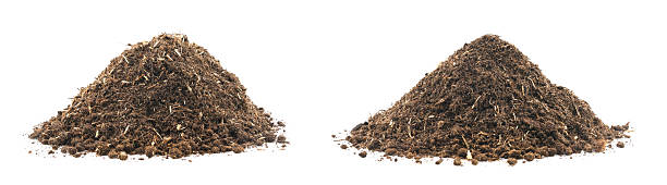 This image shows piles of high-quality organic soil separated and placed against a white background, symbolizing agriculture, gardening, composting, and natural fertilizers.