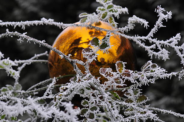 Gold ball with branches covered in hoarfrost
