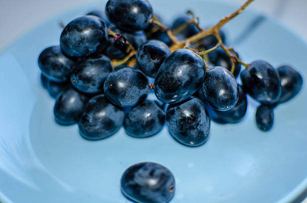 Bunch of fresh black grapes on blue plate. Still life fruit, healthy eating, nutrition concept