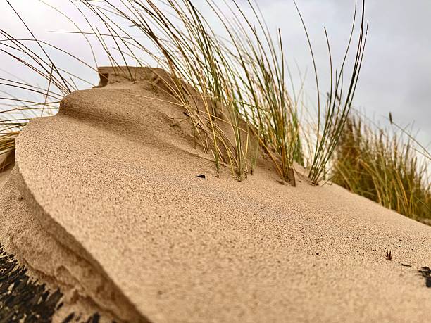 A sand drift caused by strong stormy winds at Blyth in Northumberland