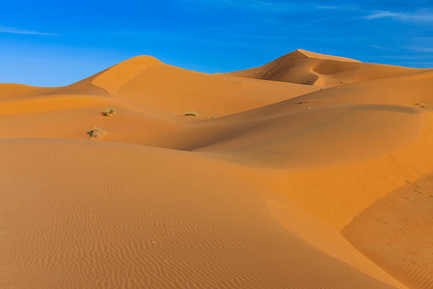 Sand dunes on Western Sahara Desert in Morocco, part of Sahara Desert. The Sahara Desert is the world's largest hot desert.
