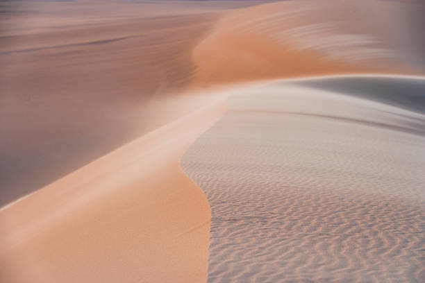 A close, minimalist view of a sand dune ridge with fine rippled textures and a soft, sweeping crest. Warm peach tones blend into cool, muted shadows while wind blurs and lifts sand along the dune’s edge, creating a flowing, almost painterly effect. The composition emphasizes curves, patterns, and the delicate transition between light and shadow.