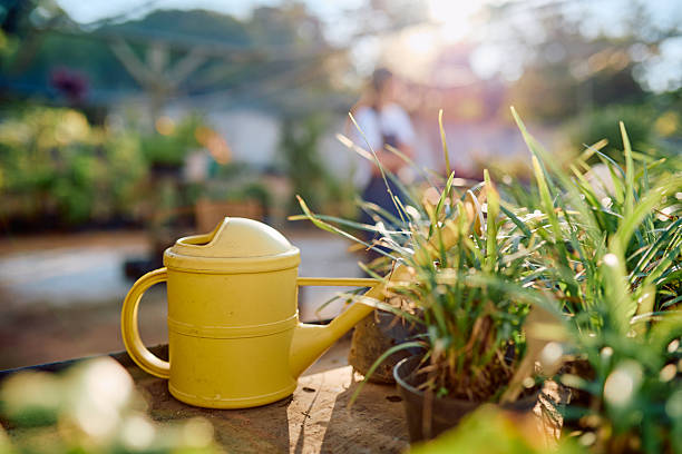 Yellow watering can sitting on a table next to potted plants, with a blurred gardener in the background. Caring for nature