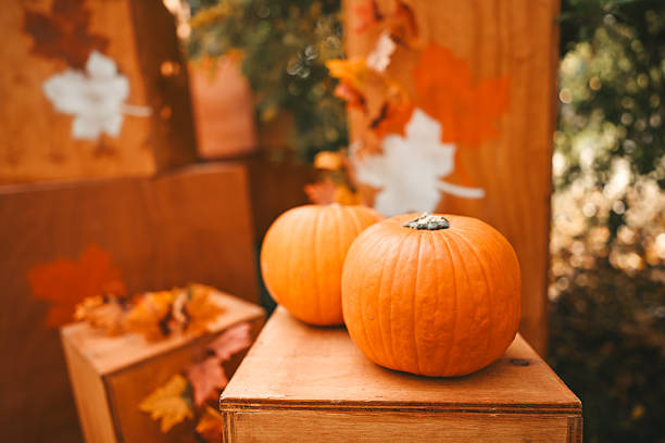 Pumpkins and autumn leaves decorating wooden boxes for fall harvest, Halloween, and Thanksgiving