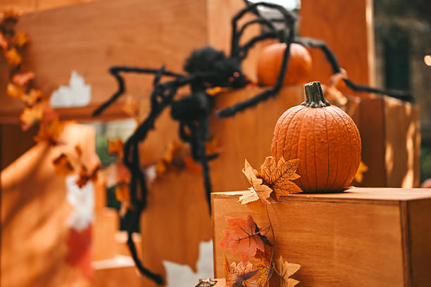 Orange pumpkin and black spider creating a festive Halloween decoration