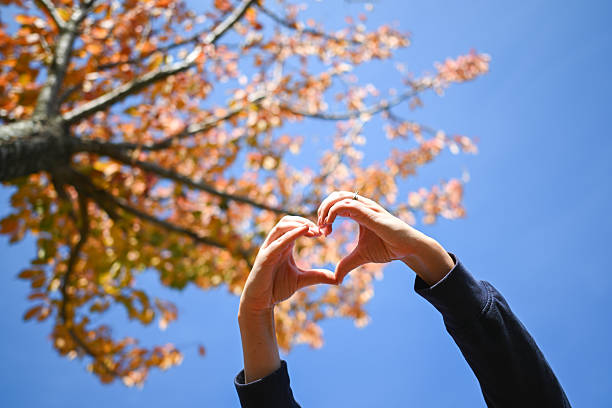 Person's hands forming a heart shape against a vibrant fall tree and clear blue sky