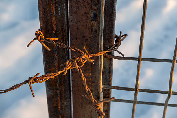 Close-up of rusty barbed wire attached to a metal fence, illuminated by warm winter light against a snowy background. Strong visual metaphor for restriction, protection, boundaries, isolation, security, and resilience. Ideal for conceptual, editorial, and abstract themes.