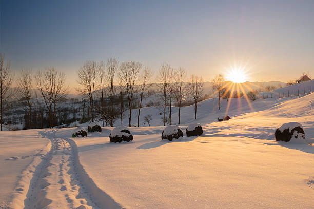 Warm winter sunset illuminating a snowy rural landscape with hay bales and bare trees. Peaceful countryside scene representing winter, agriculture, nature, tranquility, and seasonal transition. Ideal for backgrounds, seasonal campaigns, and nature concepts.