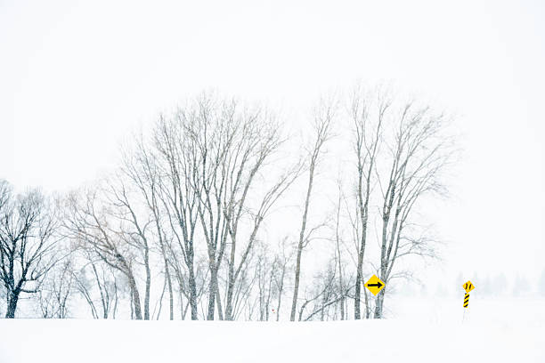 Winter landscape with bare trees during a snowfall in Quebec near a road bend
