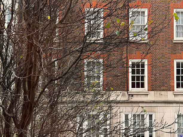 Street in a residential area of Hampstead, London