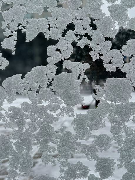 Close-up of snowflakes on a window with blurred snowy background.