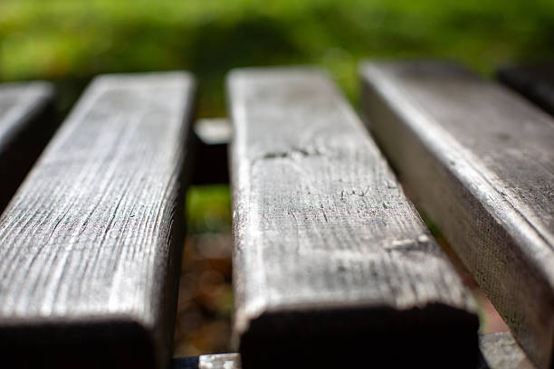 wooden bench in the park.