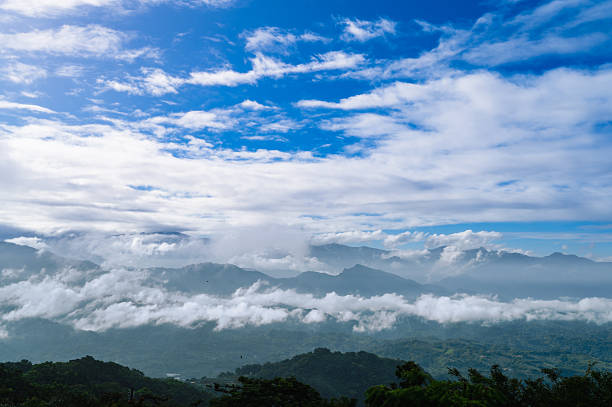 Discover the misty valley view from Dahu Miaoli, Taiwan, with clouds swirling around mountain peaks. Filmed in 2025, this summer afternoon showcases lush greenery and a serene landscape.