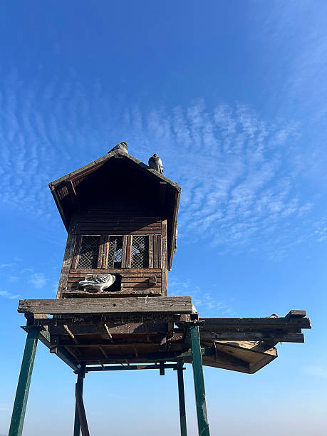A colorful array of bird houses adorns the urban design, stacking up to create a vibrant fixture against the sky. Each house is a unique piece of art on the facade, adding charm to the building