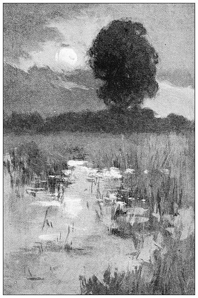 Image from 19th Century Art Illustrated Magazine: Landscape by H Watson