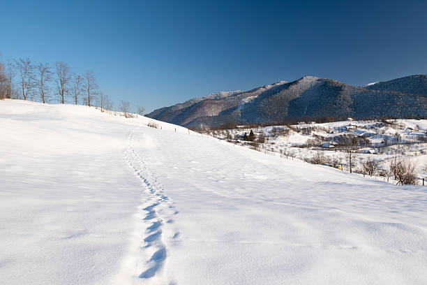 Minimalist winter landscape with human footprints crossing a snow-covered hillside, leading toward distant mountains. Clean snowy scenery with blue sky, conveying solitude, journey, freedom, exploration, and cold season nature.