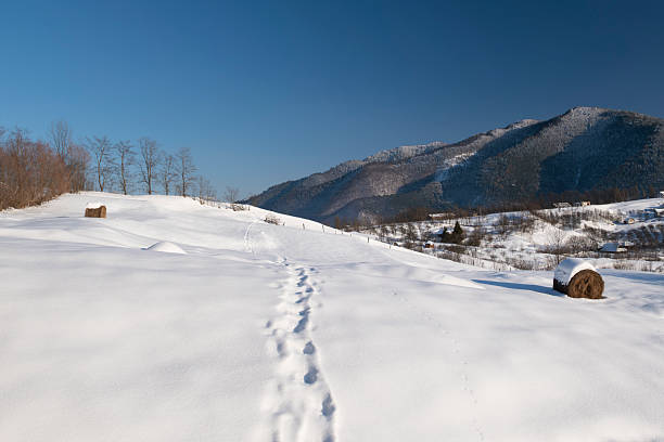 Minimalist winter landscape with human footprints crossing a snow-covered hillside, leading toward distant mountains. Clean snowy scenery with blue sky, conveying solitude, journey, freedom, exploration, and cold season nature.