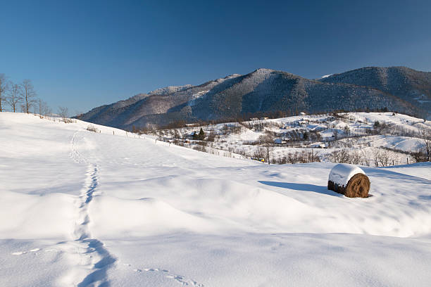 Minimalist winter landscape with human footprints crossing a snow-covered hillside, leading toward distant mountains. Clean snowy scenery with blue sky, conveying solitude, journey, freedom, exploration, and cold season nature.