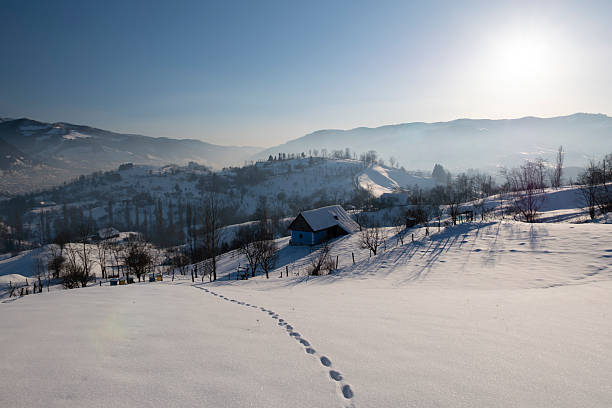 Minimalist winter landscape with human footprints crossing a snow-covered hillside, leading toward distant mountains. Clean snowy scenery with blue sky, conveying solitude, journey, freedom, exploration, and cold season nature.