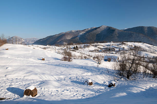Peaceful rural winter landscape with snow covered hills, traditional haystacks, wooden fence and mountain range in the background. Scenic countryside view conveying tranquility, simplicity, sustainability, rural life and winter nature.