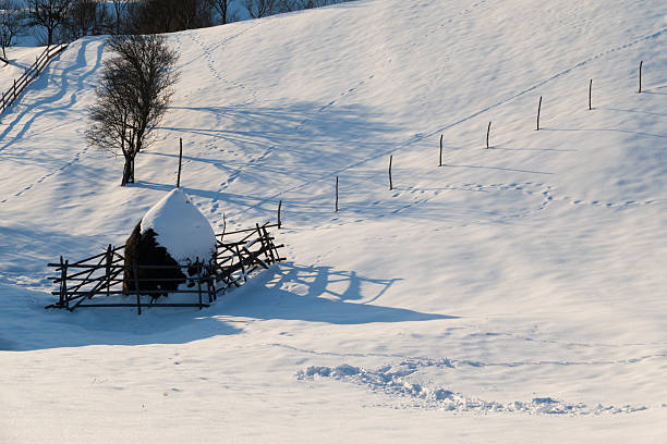 Traditional rural haystack surrounded by wooden fence in a snowy winter countryside landscape. Peaceful winter scene with soft shadows, untouched snow and natural textures, representing rural life, tradition, sustainability and seasonal calm.