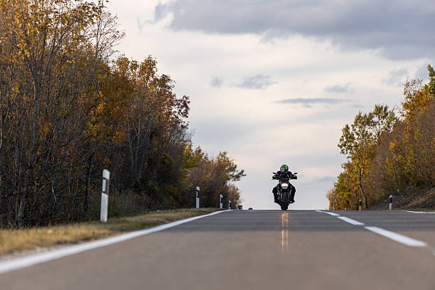 A lone rider on a motorcycle travels along a long, empty highway bordered by autumn trees. Warm fall colors, calm mood, and a sense of freedom and motion on the open road.