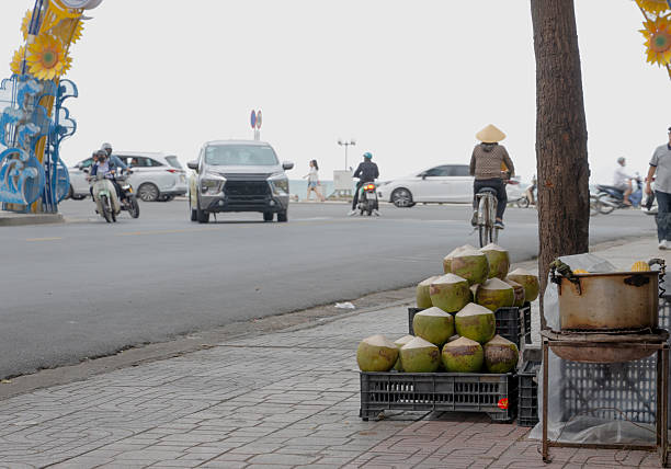 Fresh coconut drink and vendor on street, Nha Trang