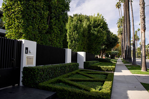 Palm tree lined sidewalk with manicured hedges in upscale neighborhood